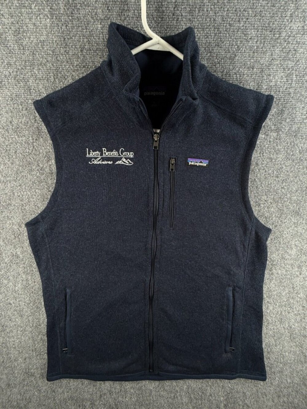 Patagonia Blue Fleece Vest Full Zip Large Men Soft Zipped Pockets Logo Finance